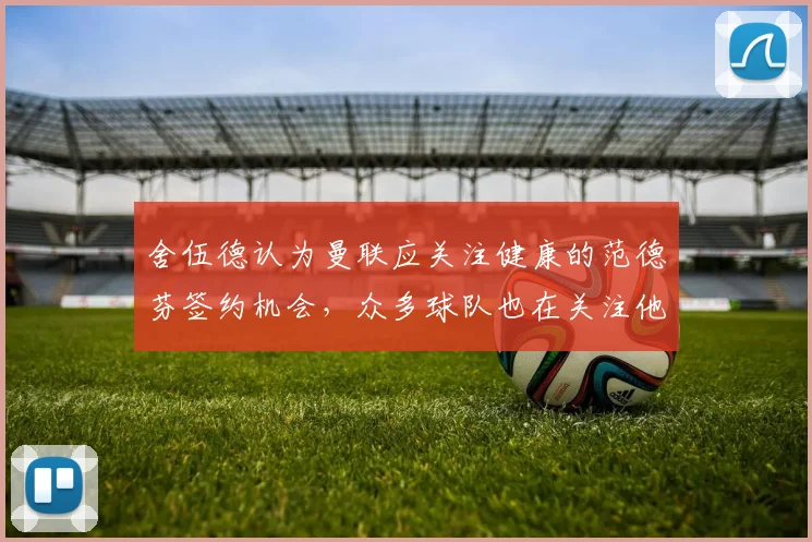 舍伍德认为曼联应关注健康的范德芬签约机会，众多球队也在关注他